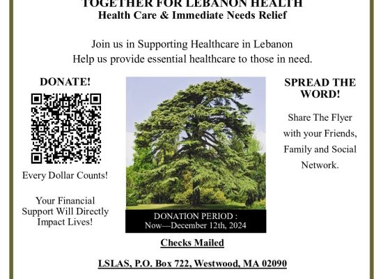 Help-Lebanon-Flyer-Revision-6-pdf